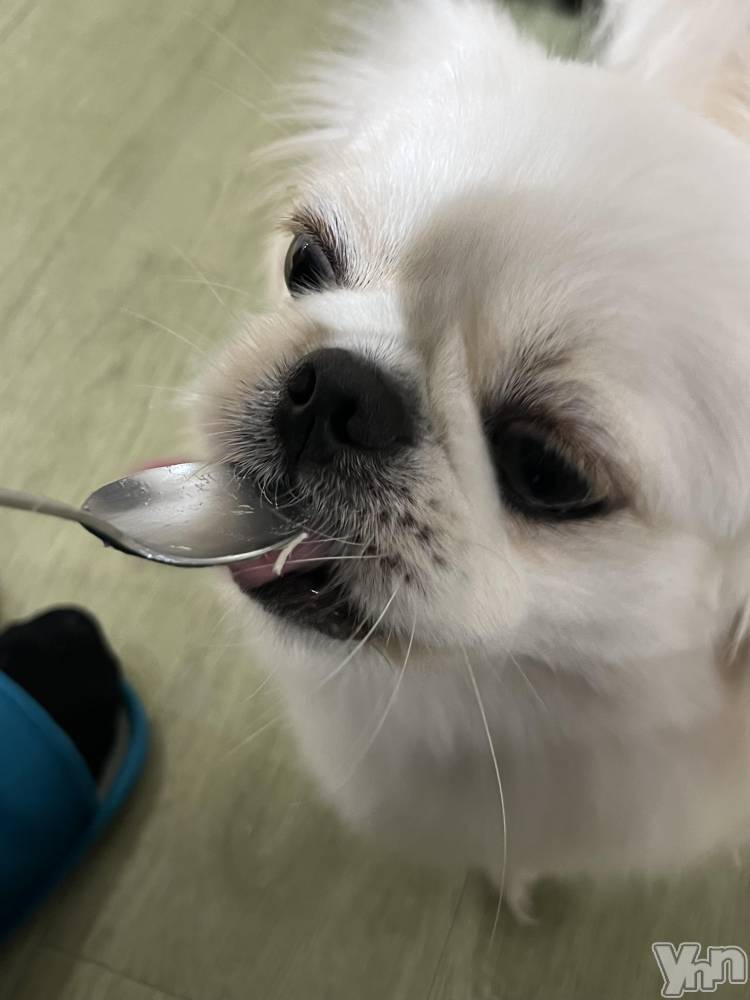 ܥХ顦CLUB WONDER( ) 椦710̥֥֥🐕
