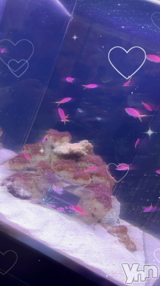 ���ܥ���Х��顦�����CLUB WONDER(����� ������) �椦��10��16���̥�֥����֤����ʤ���