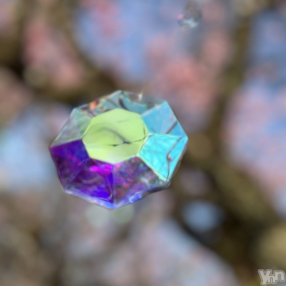 ���ܥ���Х��顦�����CLUB WONDER(����� ������) �椦��3��27���̥�֥����ֲڶ�🌸��