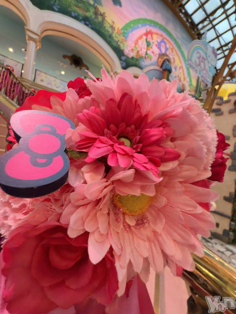 ���ܥ���Х��顦�����CLUB WONDER(����� ������) �椦��10��3���̥�֥����֤��夭�������