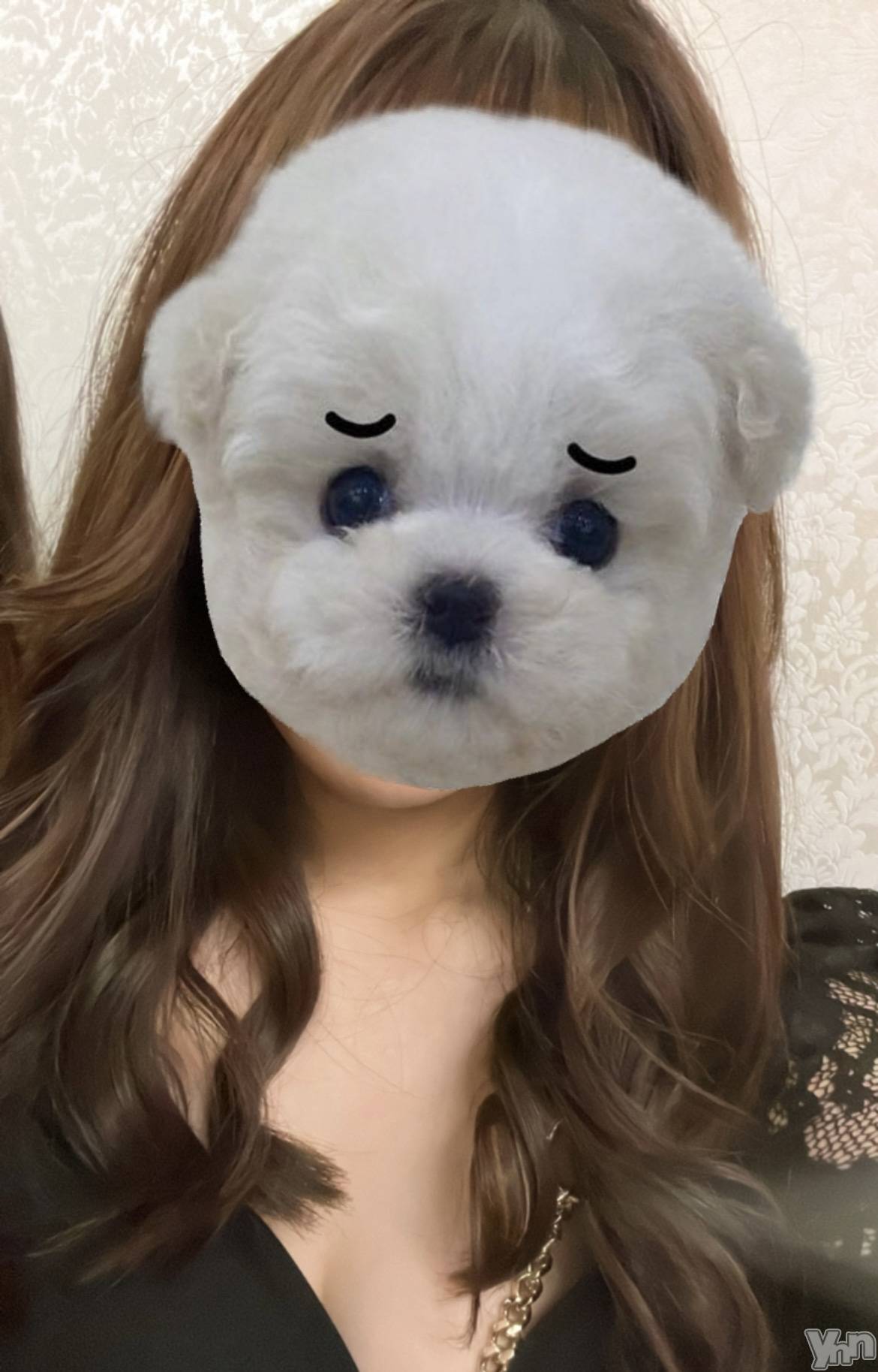 ���ܥ���Х��顦�����CLUB WONDER(����� ������) ��2023ǯ10��29���̥�֥�����🐶��