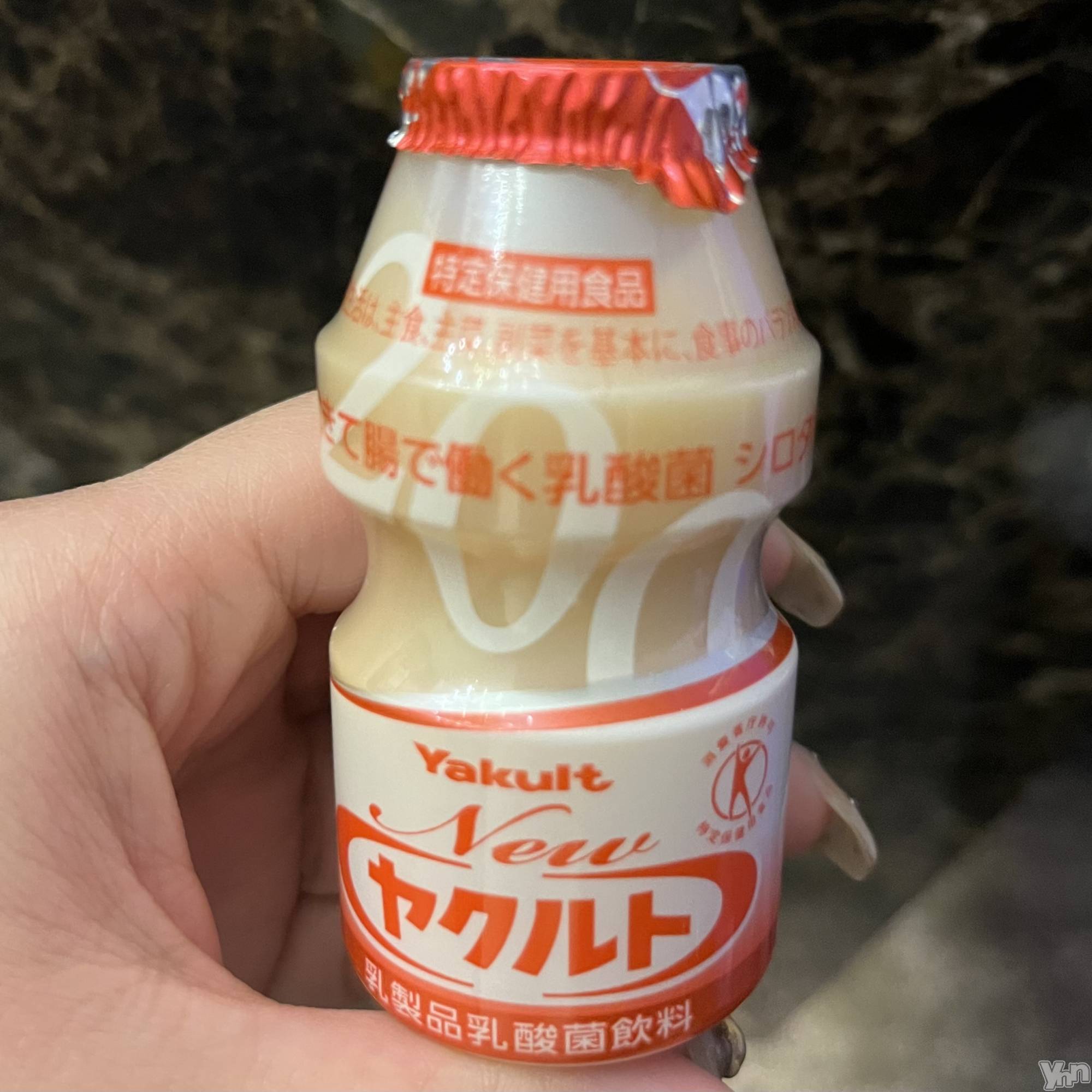 ���ܥ���Х��顦�����CLUB WONDER(����� ������) ��2023ǯ11��23���̥�֥����ָ������äѤġ�