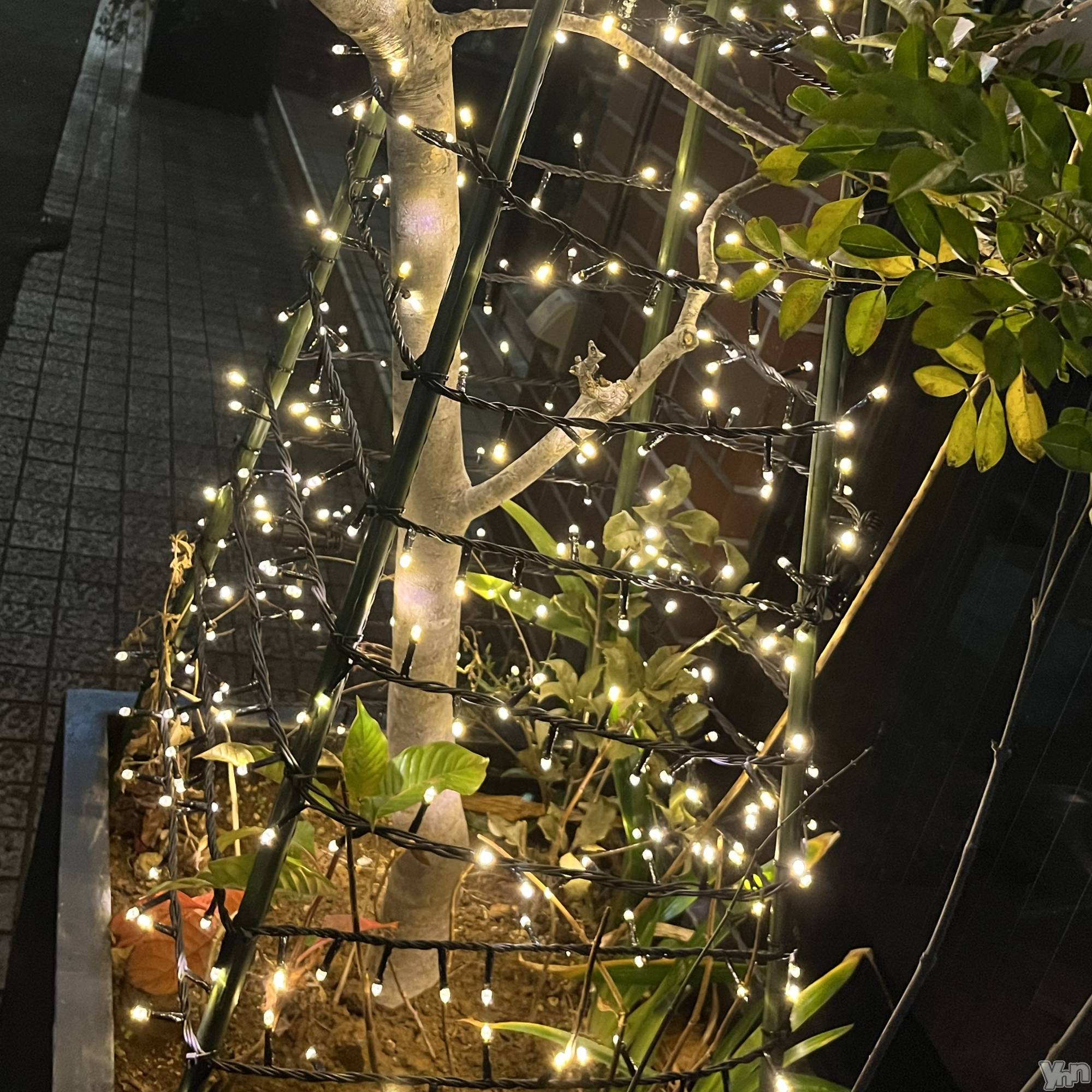 ���ܥ���Х��顦�����CLUB WONDER(����� ������) ��2023ǯ12��23���̥�֥�����🎅��