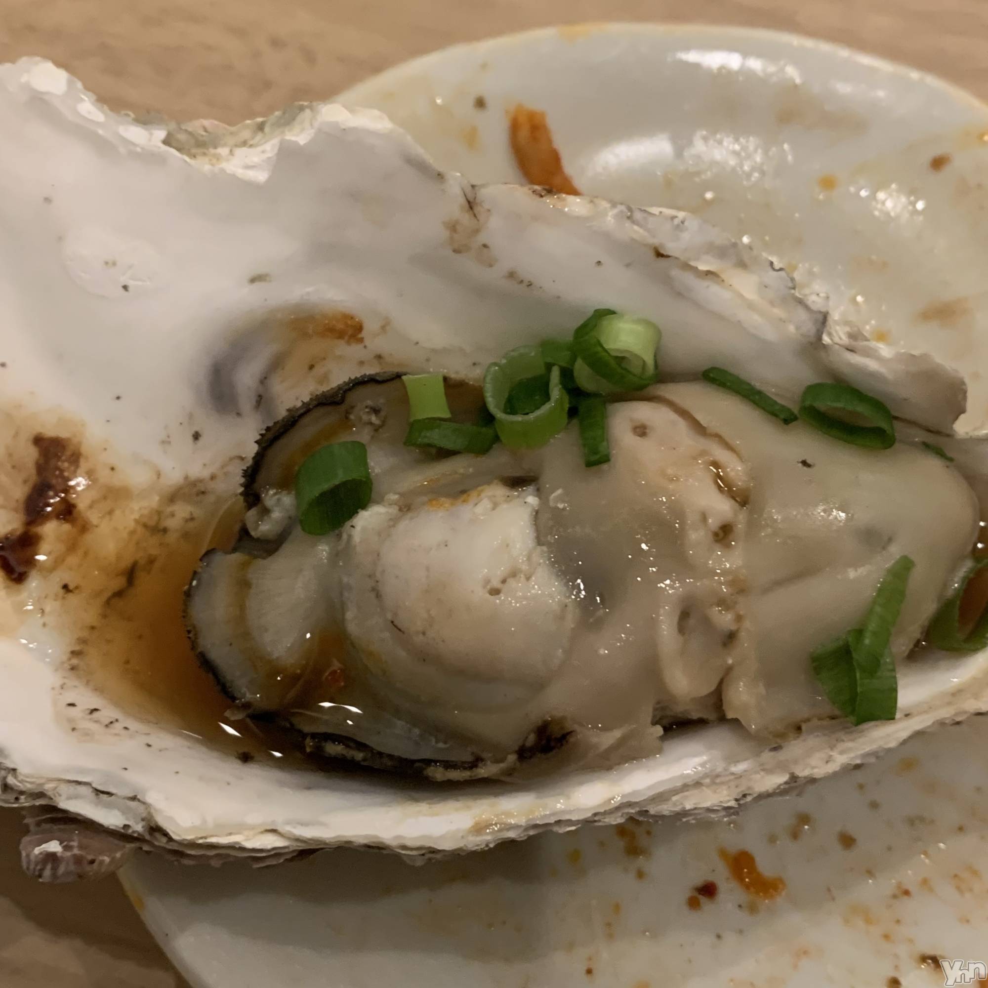 ���ܥ���Х��顦�����CLUB WONDER(����� ������) ��2024ǯ1��16���̥�֥�����🦪��