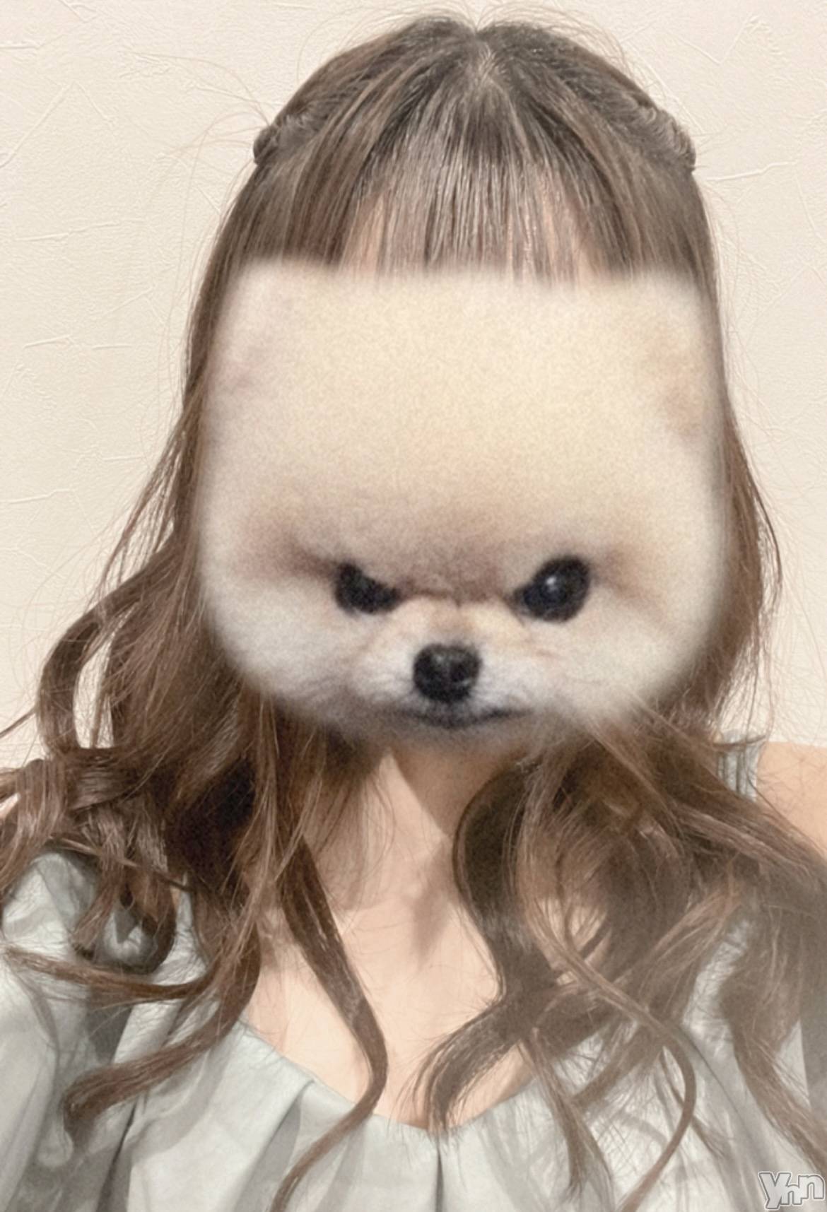 ���ܥ���Х��顦�����CLUB WONDER(����� ������) ��2024ǯ1��19���̥�֥�����🐶��