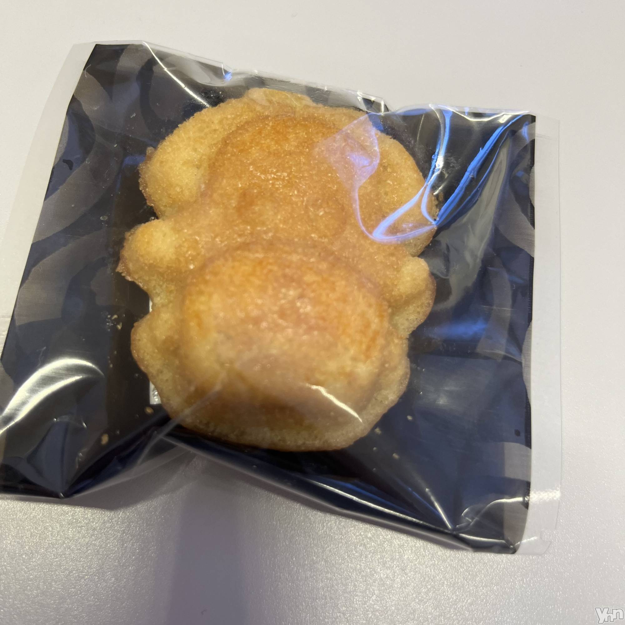 ���ܥ���Х��顦�����CLUB WONDER(����� ������) ��2024ǯ1��25���̥�֥����֤�������