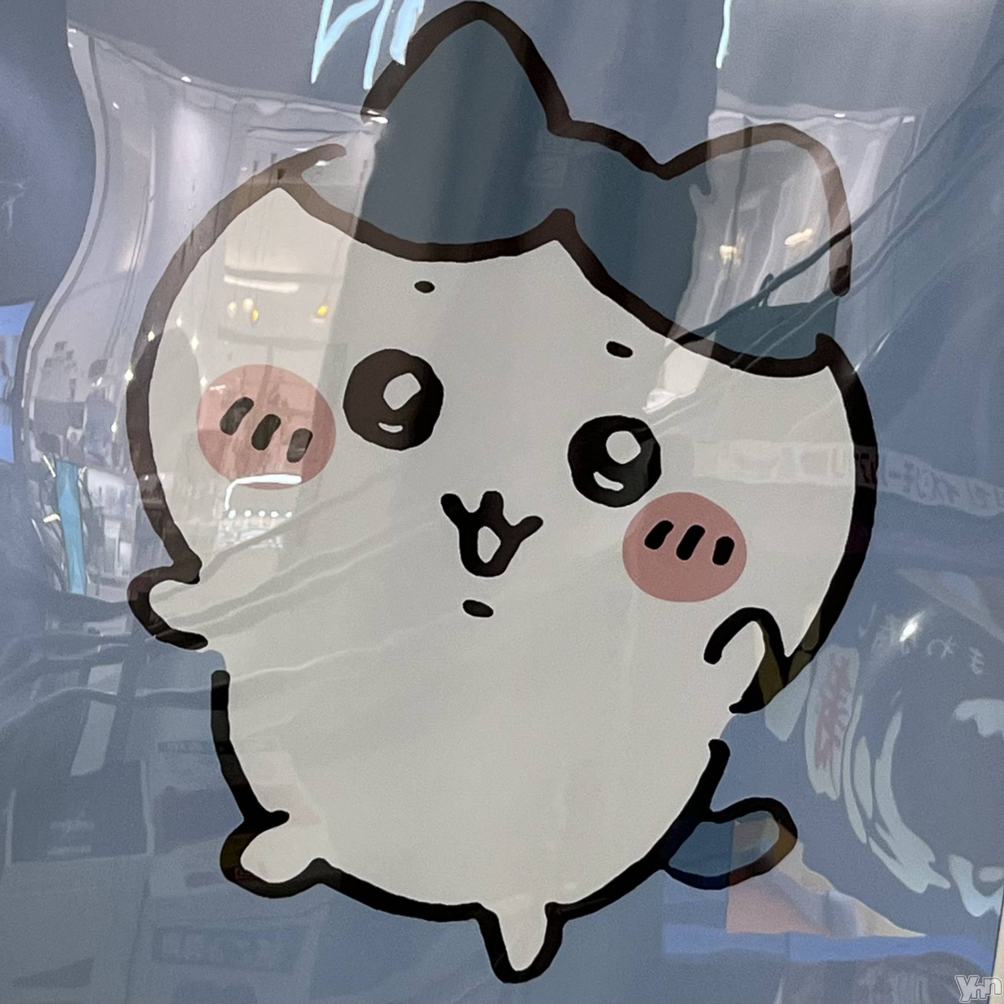 ���ܥ���Х��顦�����CLUB WONDER(����� ������) ��2024ǯ4��28���̥�֥����֤��狼���