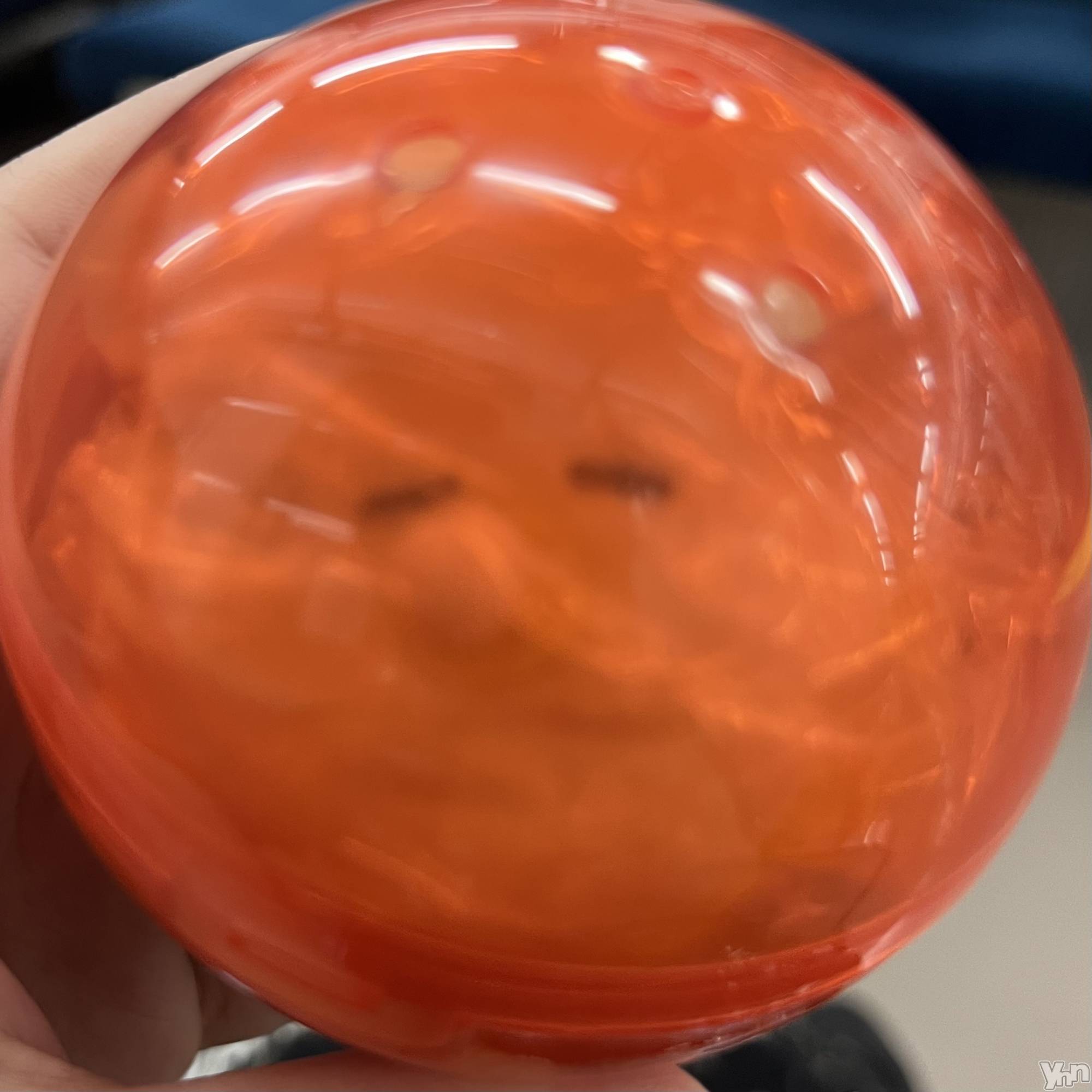 ���ܥ���Х��顦�����CLUB WONDER(����� ������) ��2024ǯ7��2���̥�֥����֥��åȤ���⭐️��