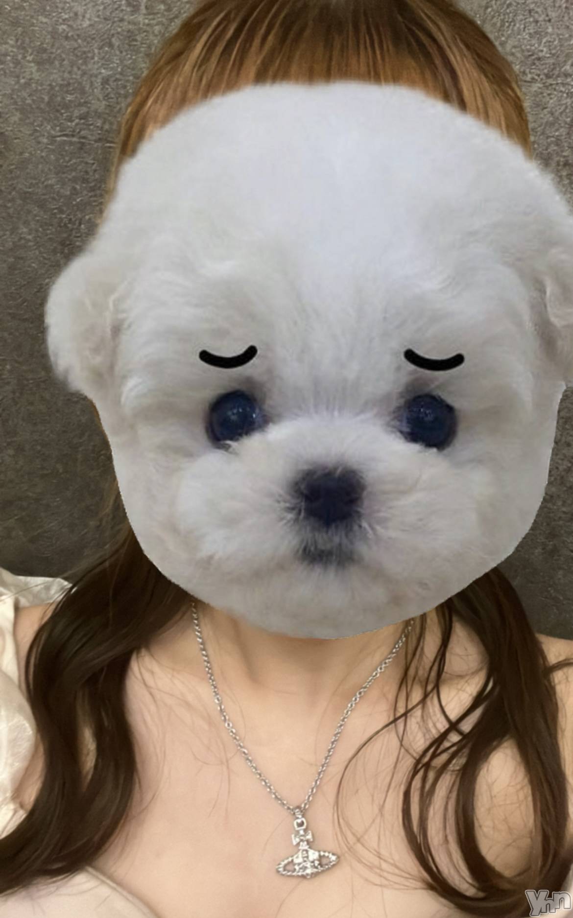 ���ܥ���Х��顦�����CLUB WONDER(����� ������) ��2024ǯ8��9���̥�֥�����🐕��