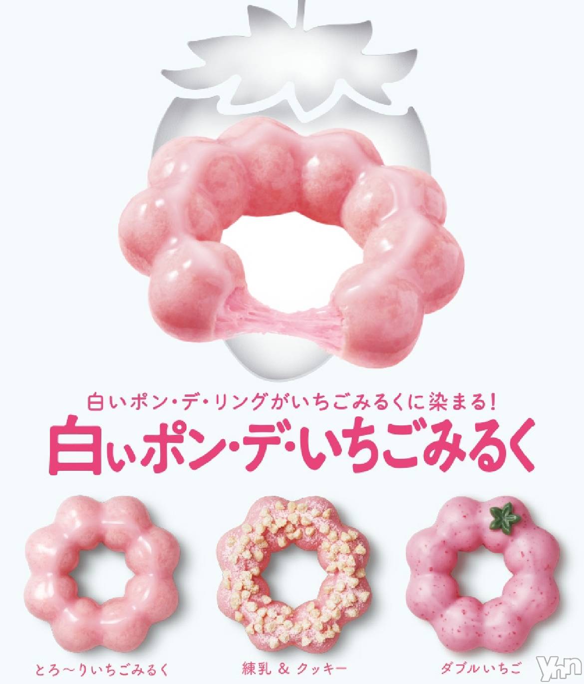 ���ܥ���Х��顦�����CLUB WONDER(����� ������) ��2024ǯ8��13���̥�֥�����🍓🍩��