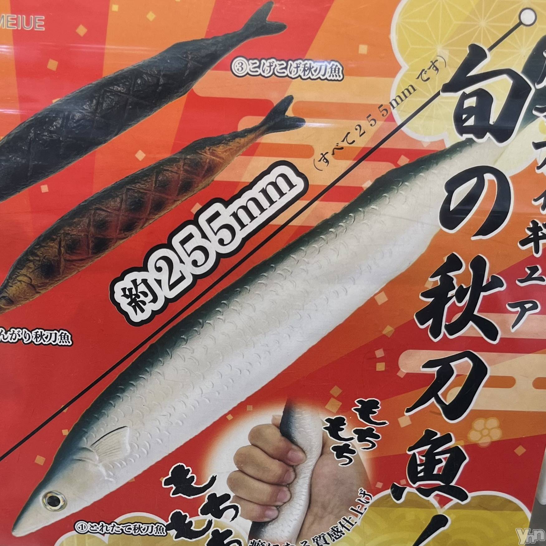 ���ܥ���Х��顦�����CLUB WONDER(����� ������) ��2024ǯ9��8���̥�֥����֤���������äƤ⡼��