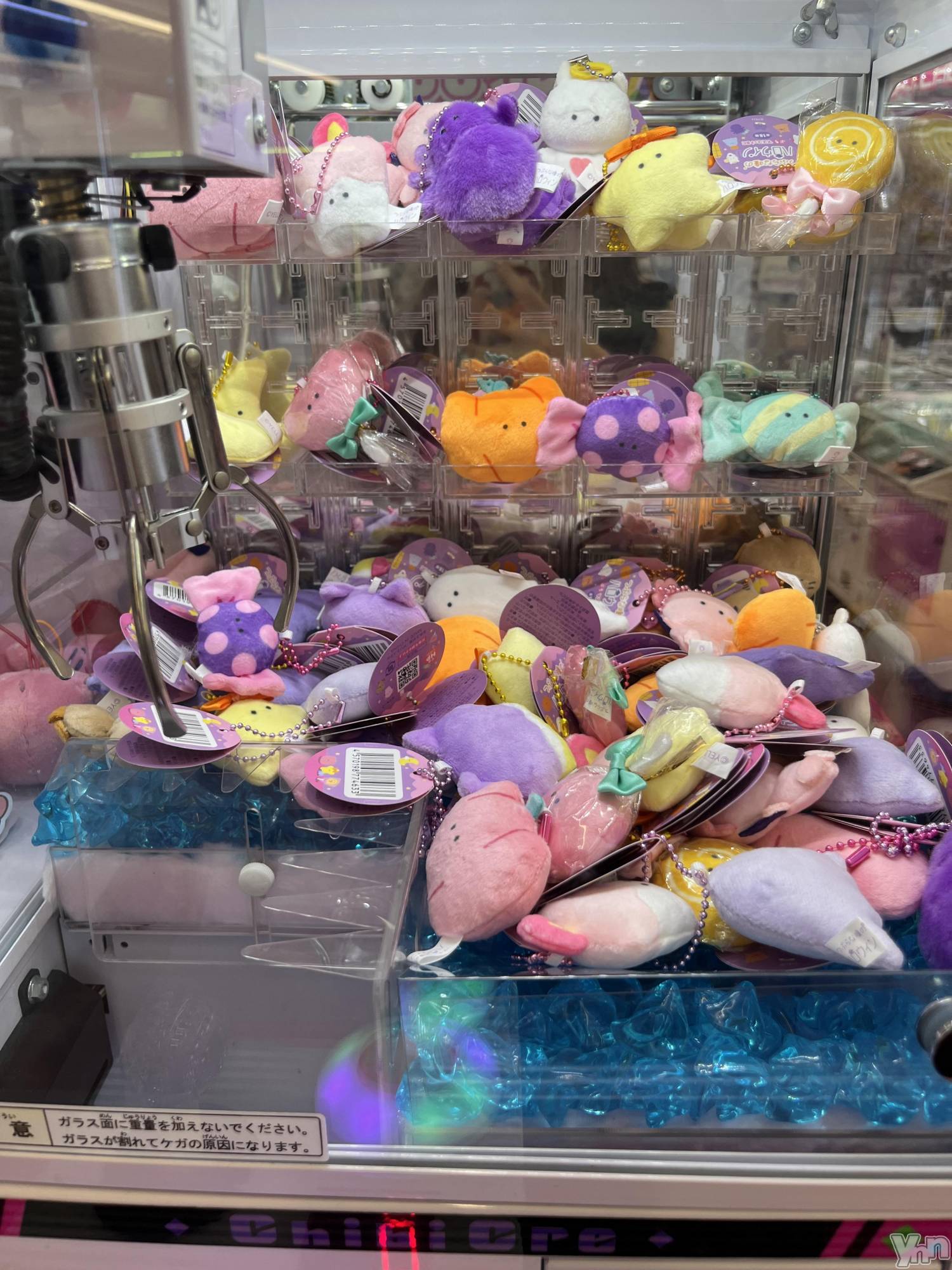 ���ܥ���Х��顦�����CLUB WONDER(����� ������) ��2024ǯ9��13���̥�֥����֤Ρ�����