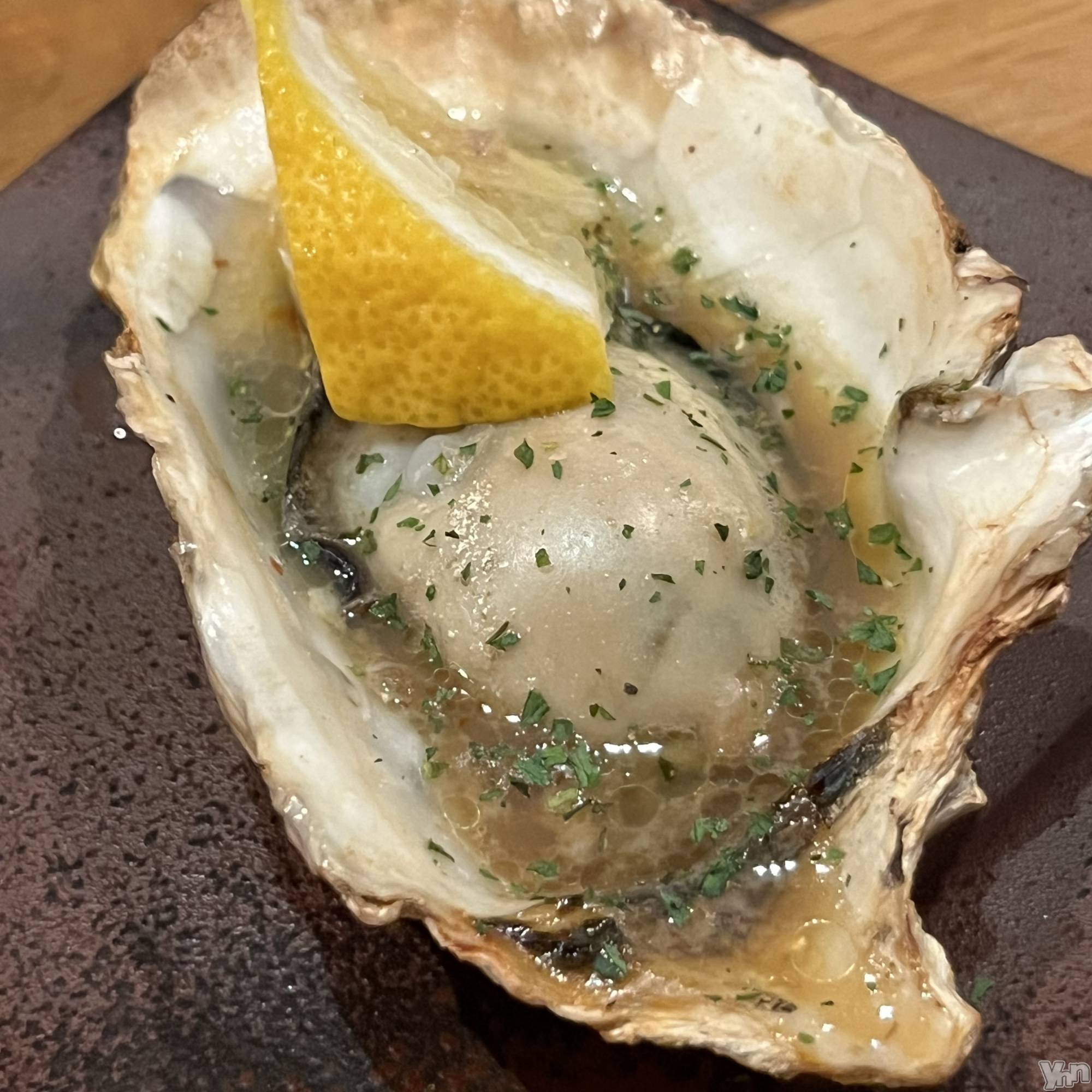 ���ܥ���Х��顦�����CLUB WONDER(����� ������) ��2024ǯ12��8���̥�֥�����🦪��������🦪��