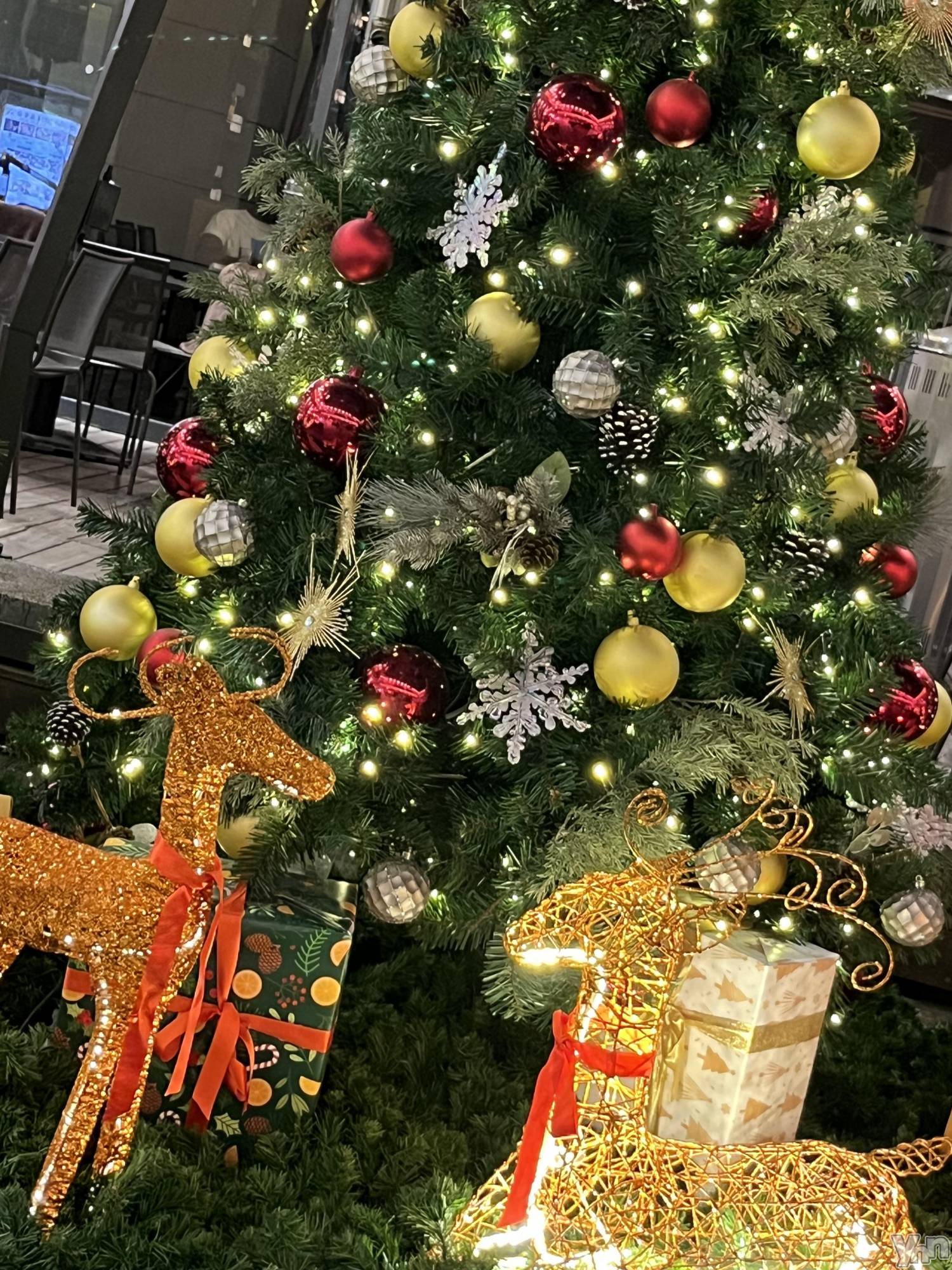 ���ܥ���Х��顦�����CLUB WONDER(����� ������) ��2024ǯ12��25���̥�֥����֥��ꥹ�ޥ��ĥ꡼��