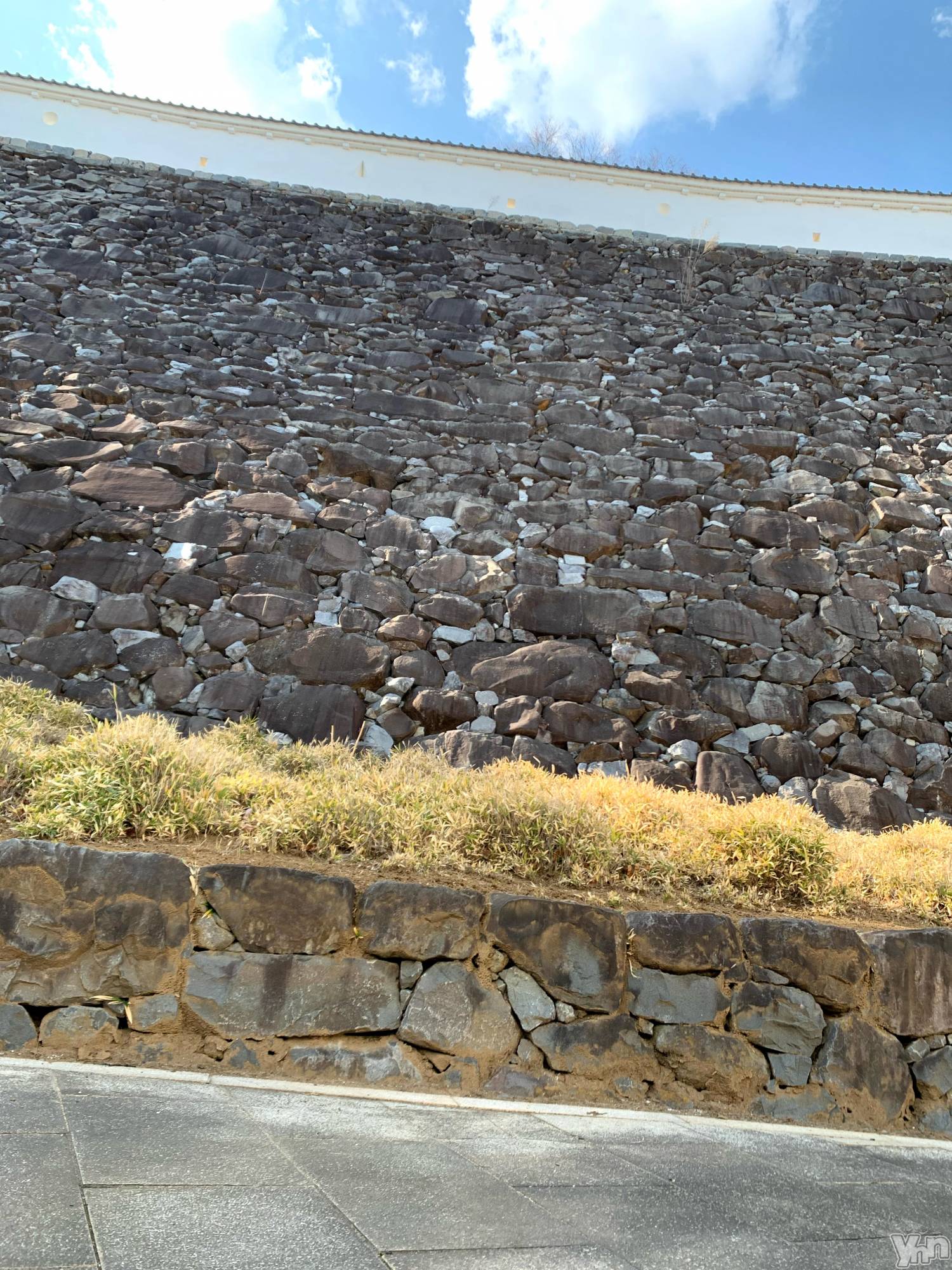 ���ܥ���Х��顦�����CLUB WONDER(����� ������) ��2025ǯ4��6���̥�֥����ֺ����Ϥʤ��������