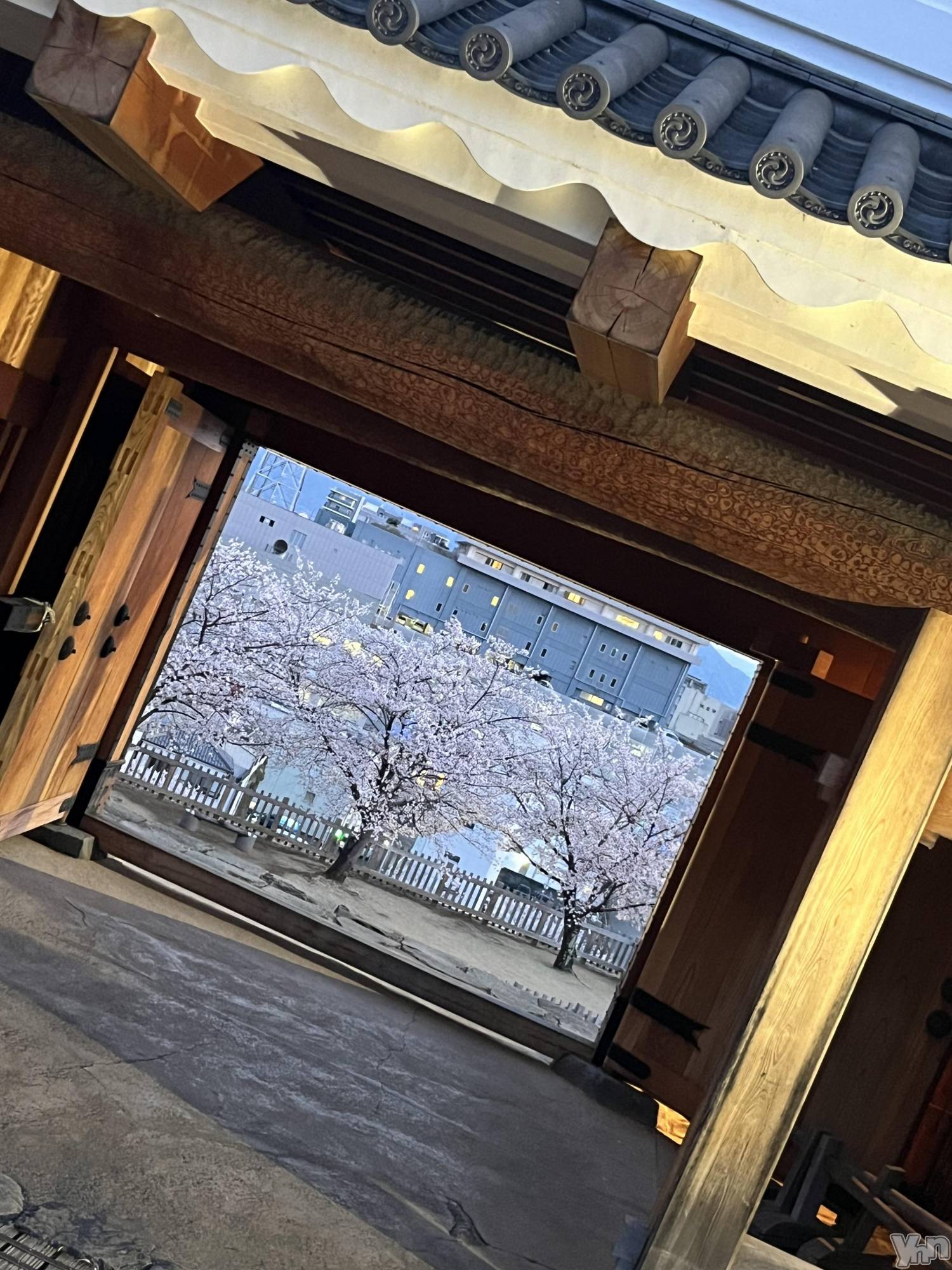 ���ܥ���Х��顦�����CLUB WONDER(����� ������) ��2025ǯ4��8���̥�֥����֤���Ⱥ�🌸��