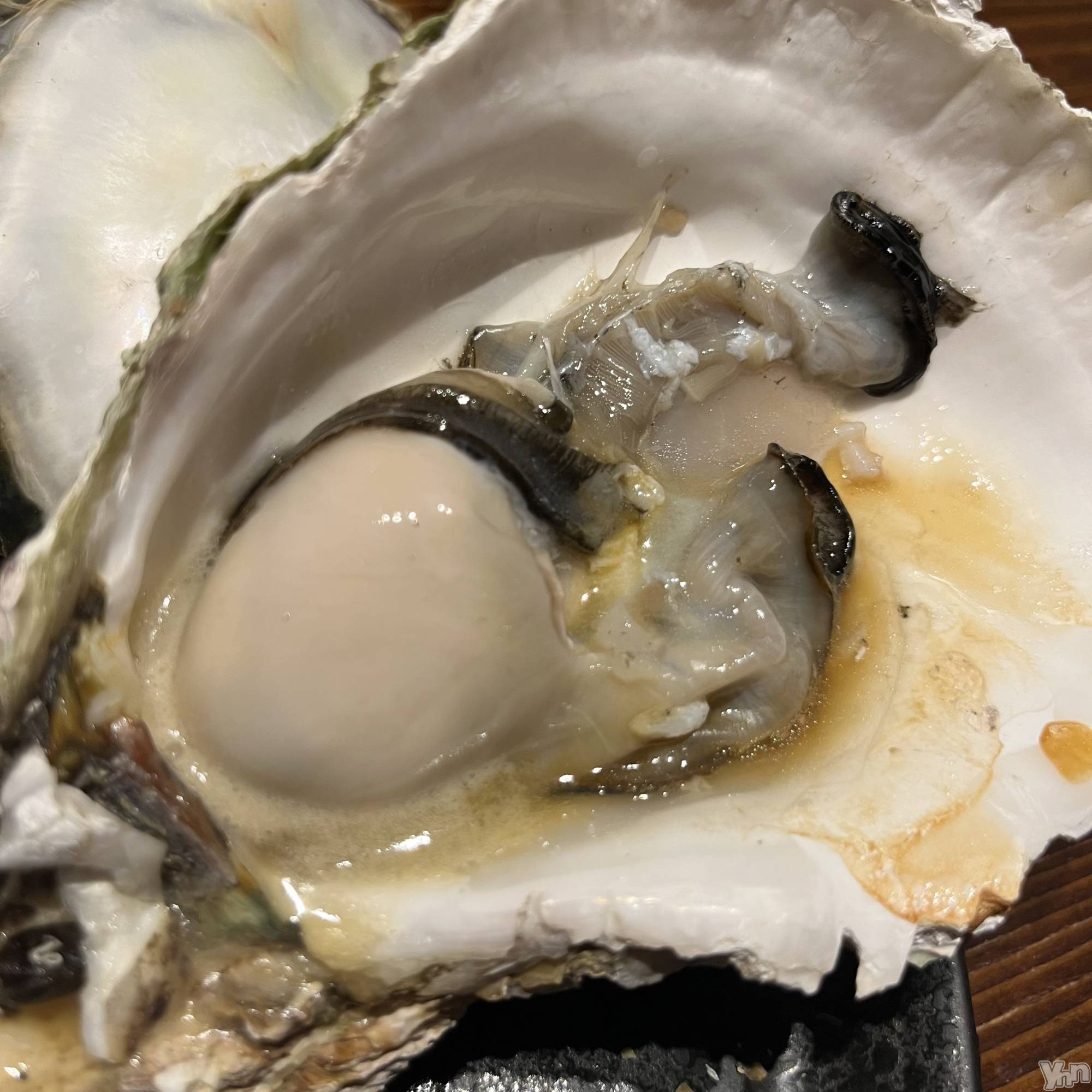 ���ܥ���Х��顦�����CLUB WONDER(����� ������) ��2025ǯ6��4���̥�֥����֤���ˤ���6��💐��