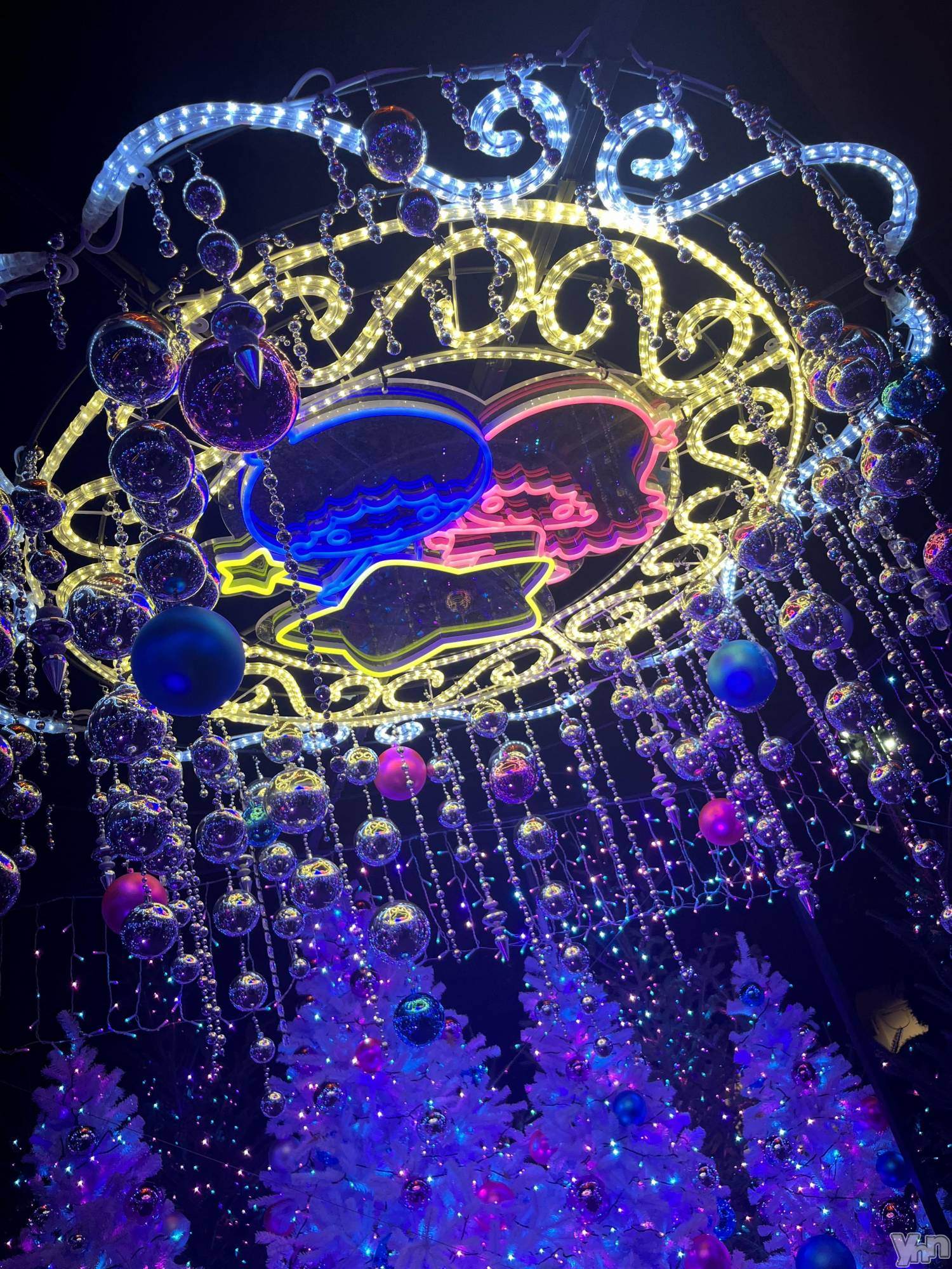 ���ܥ���Х��顦�����CLUB WONDER(����� ������) ��2026ǯ1��8���̥�֥����ֺ��������������Ǥ��ͤ���