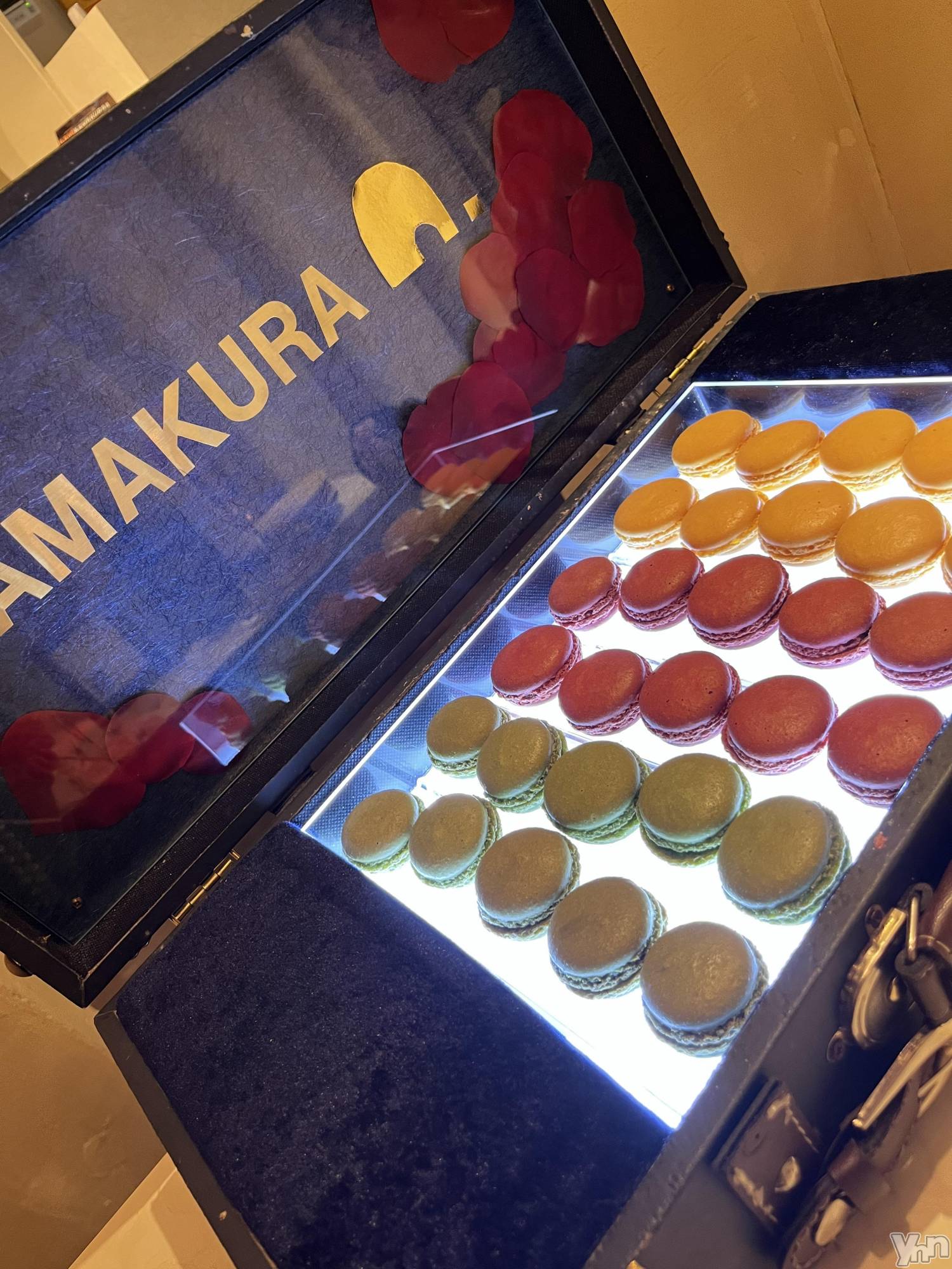 ���ܥ���Х��顦�����CLUB WONDER(����� ������) ��2026ǯ2��11���̥�֥����֥ޥ�����🤤��