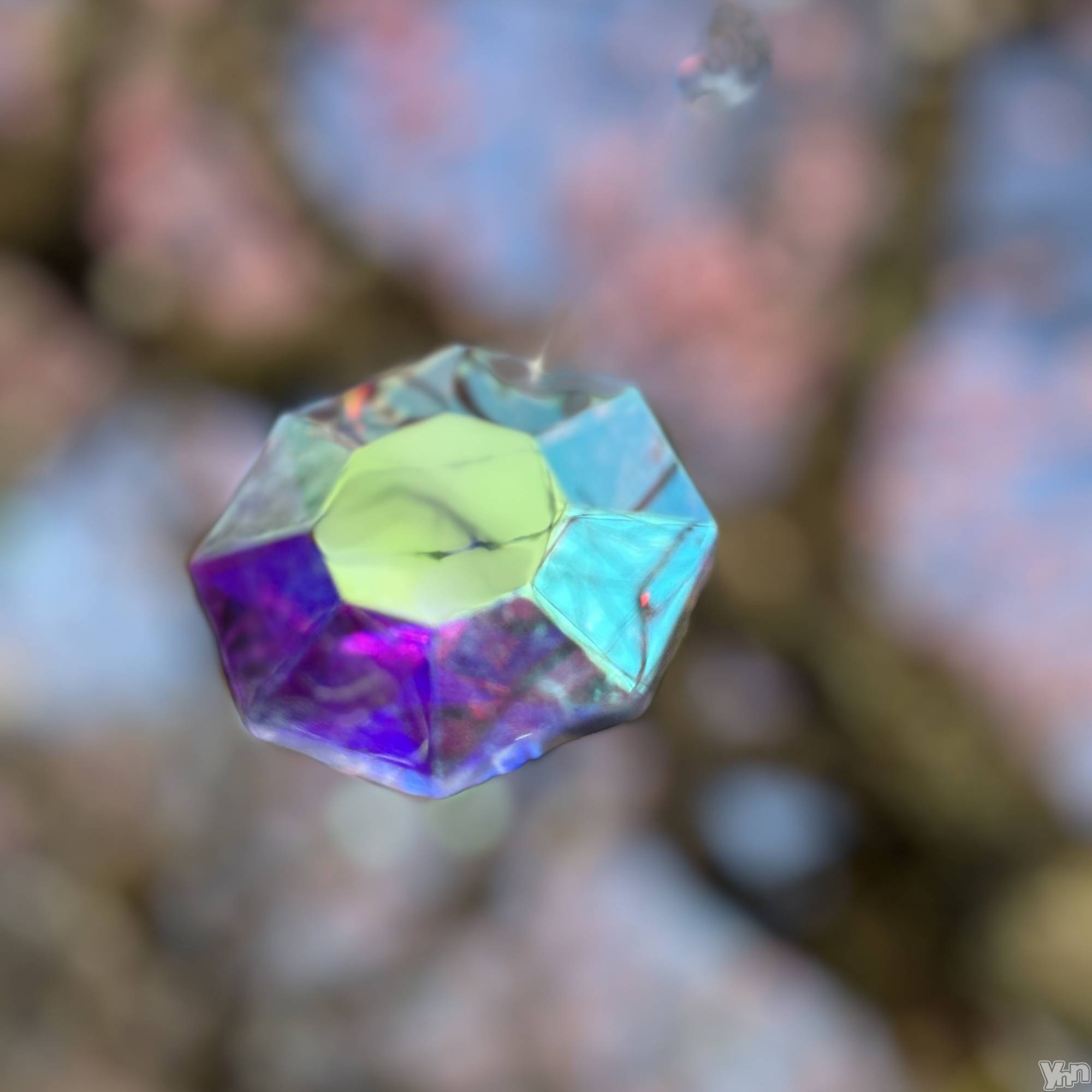 ���ܥ���Х��顦�����CLUB WONDER(����� ������) ��2026ǯ3��27���̥�֥����ֲڶ�🌸��