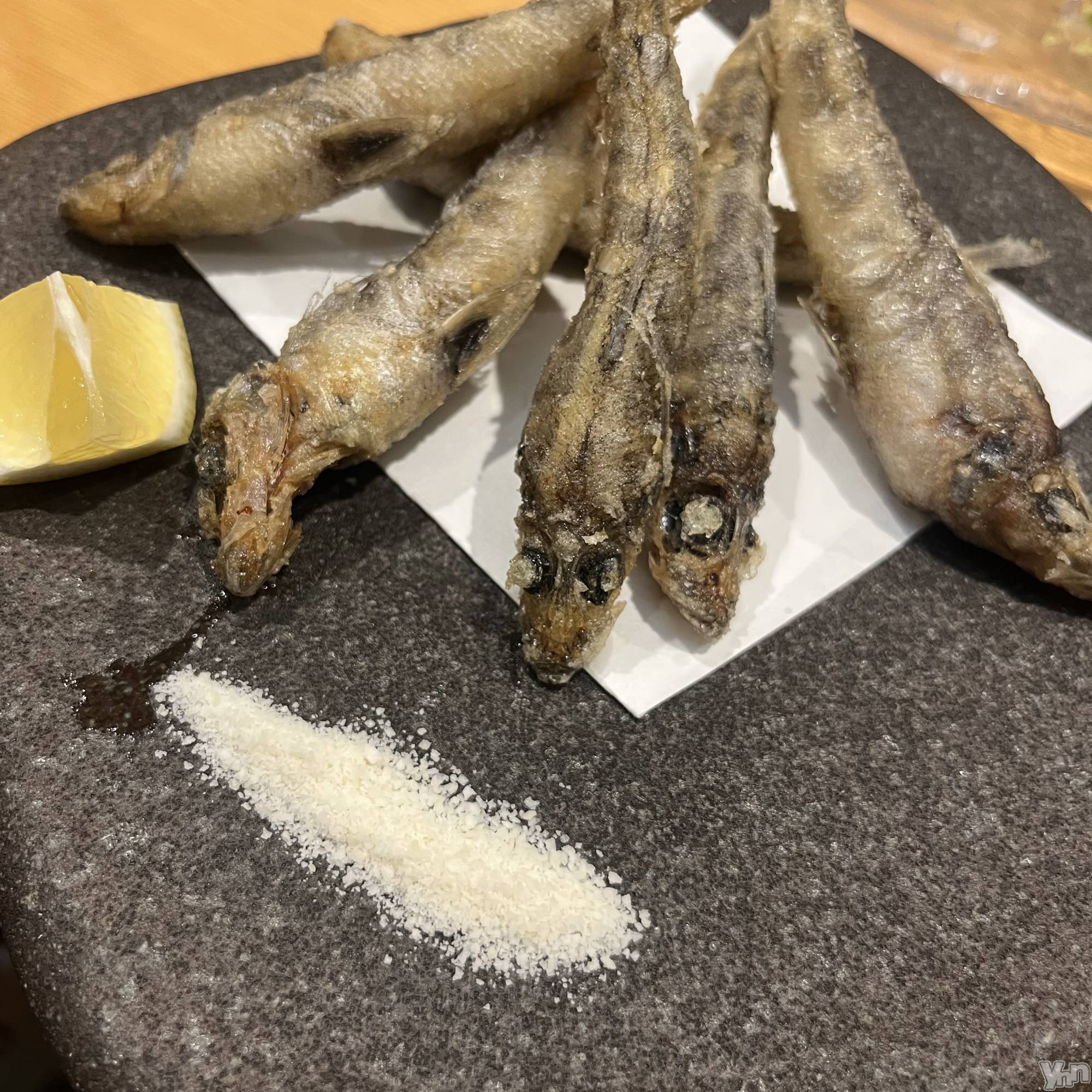 ���ܥ���Х��顦�����CLUB WONDER(����� ������) ��2026ǯ10��15���̥�֥��������򤤤���õ���������