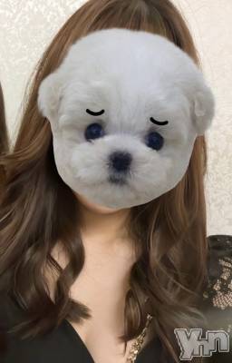 ���ܥ���Х��顦�����CLUB WONDER(����� ������) �椦(25)��10��29���̥�֥�����🐶��