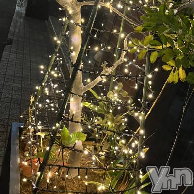 ���ܥ���Х��顦�����CLUB WONDER(����� ������) �椦(25)��12��23���̥�֥�����🎅��