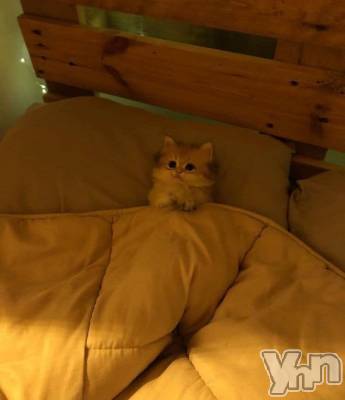 ���ܥ���Х��顦�����CLUB WONDER(����� ������) �椦(25)��1��13���̥�֥����֤������🧊��