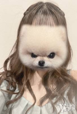 ���ܥ���Х��顦�����CLUB WONDER(����� ������) �椦(25)��1��19���̥�֥�����🐶��