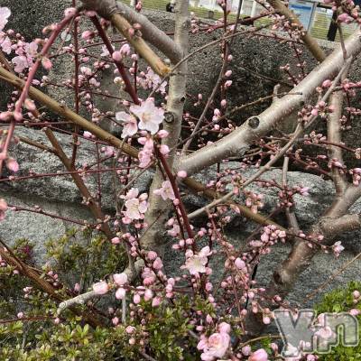 ���ܥ���Х��顦�����CLUB WONDER(����� ������) �椦(25)��4��5���̥�֥�����🍑🌸��