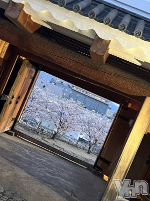 ���ܥ���Х��顦�����CLUB WONDER(����� ������) �椦(25)��4��8���̥�֥����֤���Ⱥ�🌸��