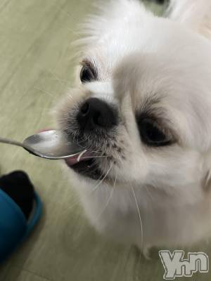 ���ܥ���Х��顦�����CLUB WONDER(����� ������) �椦(25)��7��10���̥�֥����֥������🐕��