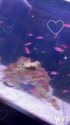 ���ܥ���Х��顦�����CLUB WONDER(����� ������) �椦(25)��10��16���̥�֥����֤����ʤ���