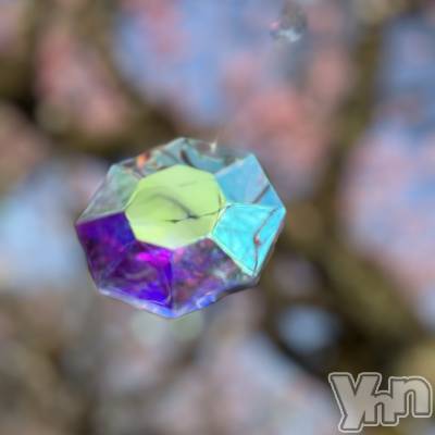 ���ܥ���Х��顦�����CLUB WONDER(����� ������) �椦(25)��3��27���̥�֥����ֲڶ�🌸��