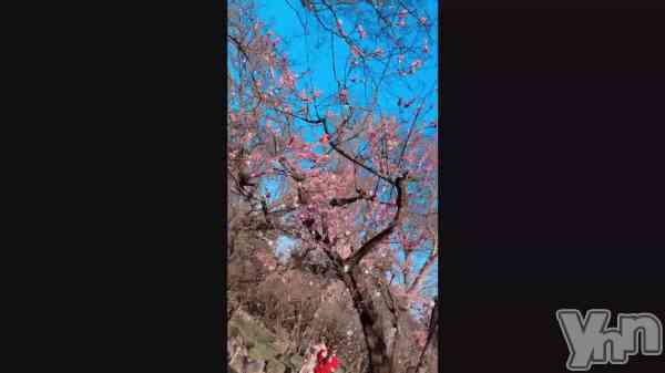 �֣���🌸��