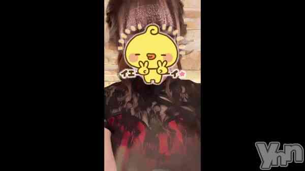 ��🇨🇳🐼��