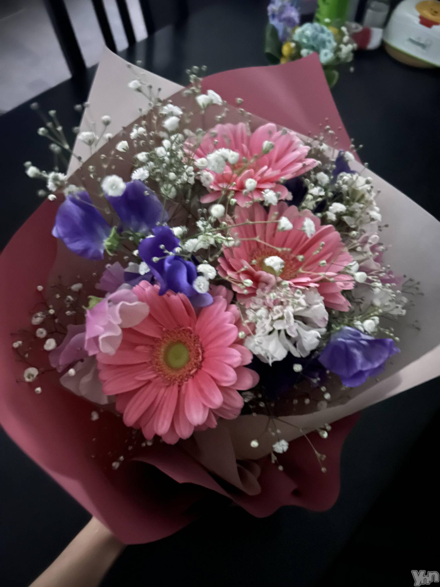 ���ܥ���Х��顦�����Entertainment Club HANA��BUSA(���󥿡��ƥ����ȥ���֡��ϥʥ֥�) ��2025ǯ3��13���̥�֥�����3��13�� 23��17ʬ�μ̥�֥�����