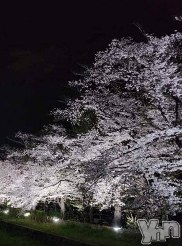 甲府デリヘル甲府人妻隊(コウフヒトヅマタイ) 新人ちか(40)の4月17日写メブログ「ありがとう❤」