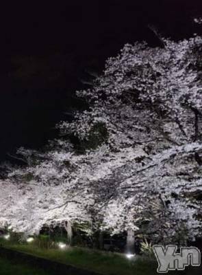 甲府デリヘル 甲府人妻隊(コウフヒトヅマタイ) 新人ちか(40)の4月17日写メブログ「ありがとう❤」