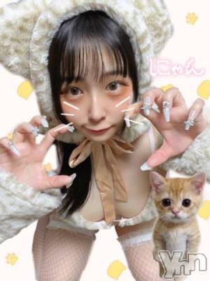 甲府ソープ 石蹄(セキテイ) あみか(20)の2月22日写メブログ「にゃん🐱」