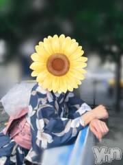 甲府デリヘル甲府人妻隊(コウフヒトヅマタイ) 新人きこ(40)の7月5日写メブログ「お久しぶりです✨」