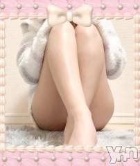 甲府デリヘル甲府人妻隊(コウフヒトヅマタイ) 新人きこ(40)の12月30日写メブログ「またまた明日～」