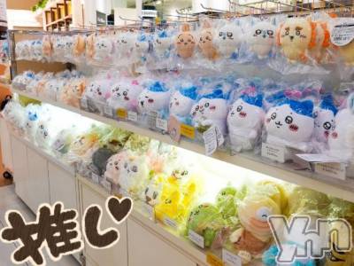 甲府デリヘル 甲府人妻隊(コウフヒトヅマタイ) 新人きこ(40)の3月19日写メブログ「出勤報告です🙏」