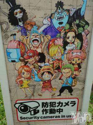 甲府デリヘル 甲府人妻隊(コウフヒトヅマタイ) 新人きこ(40)の10月1日写メブログ「今月も宜しくお願いします🙏」