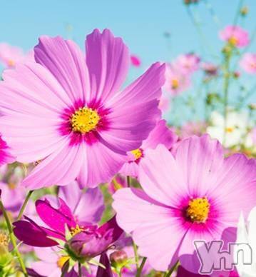 甲府デリヘルThree＆Men’s Spa 甲府(スリー＆メンズスパ コウフ) さつきスリー(58)の11月6日写メブログ「ありがとうございました♥」