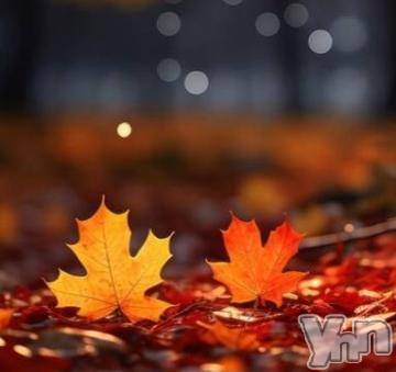 甲府デリヘルThree＆Men’s Spa 甲府(スリー＆メンズスパ コウフ) さつきスリー(58)の11月18日写メブログ「ありがとうございました💕」