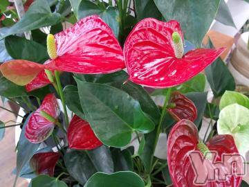 甲府デリヘルThree＆Men’s Spa 甲府(スリー＆メンズスパ コウフ)さつきスリー(58)の2023年11月3日写メブログ「こんにちは😊」