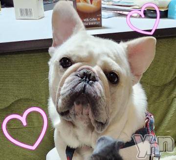 甲府デリヘルThree＆Men’s Spa 甲府(スリー＆メンズスパ コウフ)さつきスリー(58)の2023年11月3日写メブログ「ありがとうございました♥」