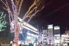 甲府デリヘル甲府人妻隊(コウフヒトヅマタイ) 新人あゆみ(40)の12月17日写メブログ「こんばんは、甲府につきました。」