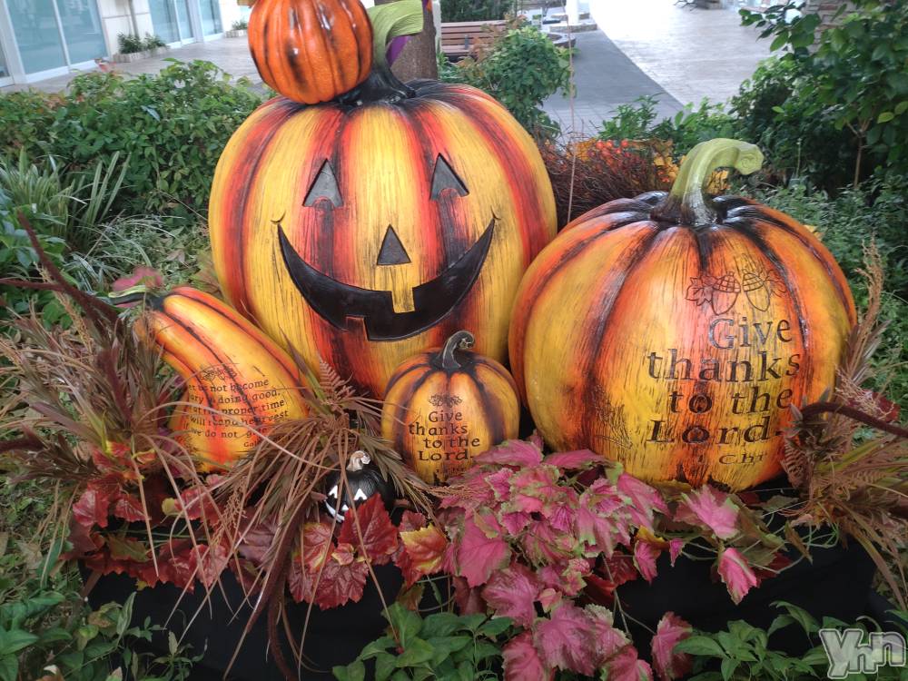 ���ܥ���Х��顦�����CLUB WONDER(����� ������) ���ĥ���10��3���̥�֥����֤ɡ�������🍂💓✨��